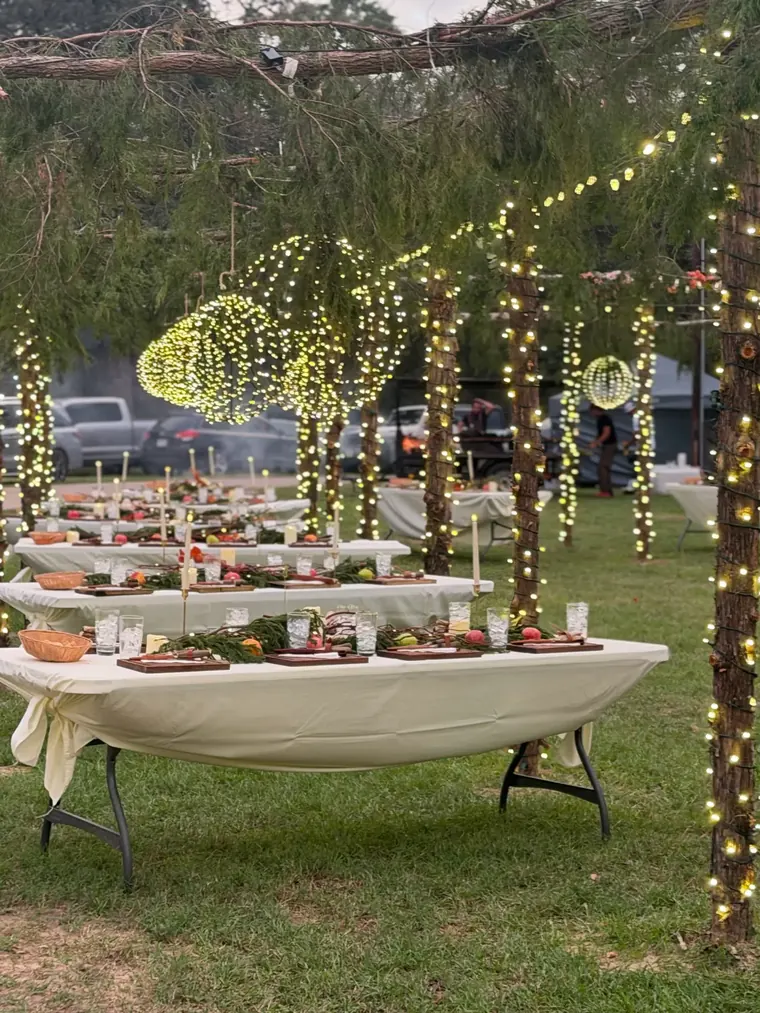 Banqueting tables on a lawn beneath wrapped trees and hanging light spheres in daylight.